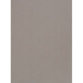 Trueliving_Centuryply_PELLE MISTA__Design Code: 4824 PE SIZE:2440 MM X 1220 MM  THICKNESS: 1 MM